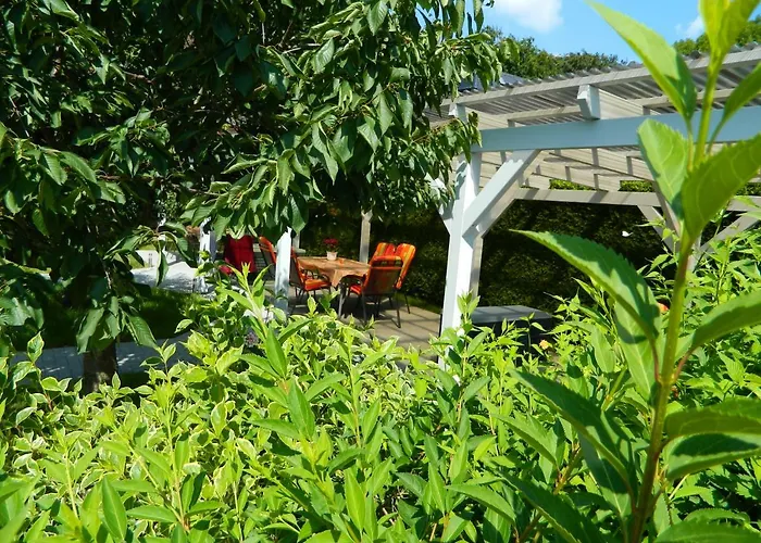 Fewotraum-mueritz דירה *